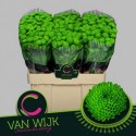 CHR S COUNTRY - C. van Wijk