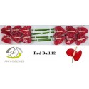 anthurium RED BULL - Anthogether Evanty