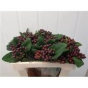 hypericum GLOBO BURGUNDY - .