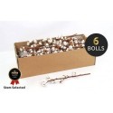 Cotton dried premium 6 balls - Eizenband Snir