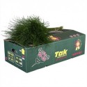 Treefern - Corporacion Tak S.a.